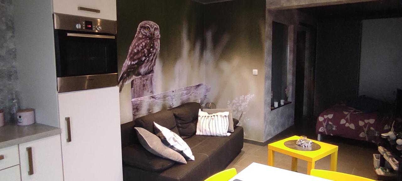 Studio Gite Eul Cat Huant Dergneau Exteriér fotografie